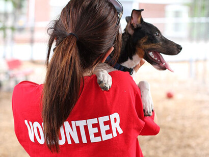 Voluntaria que se ocupa del cuidado animal