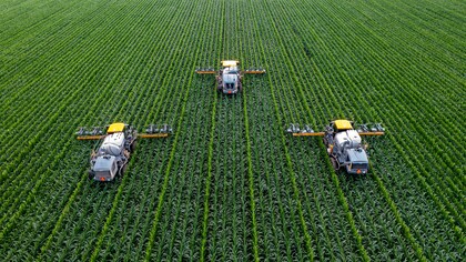 Agricoltura intensiva