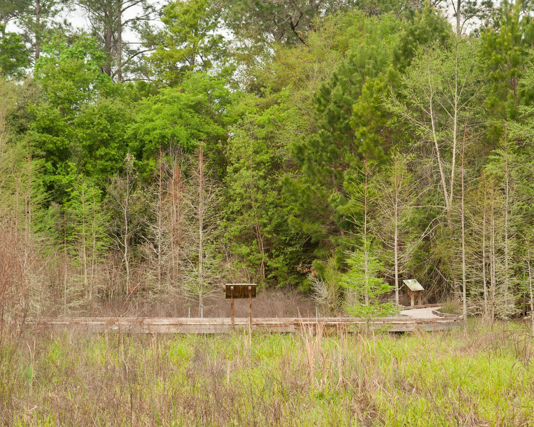 Natural Area Teaching Lab Trails. Courtesy of Florida Museum of Natural History