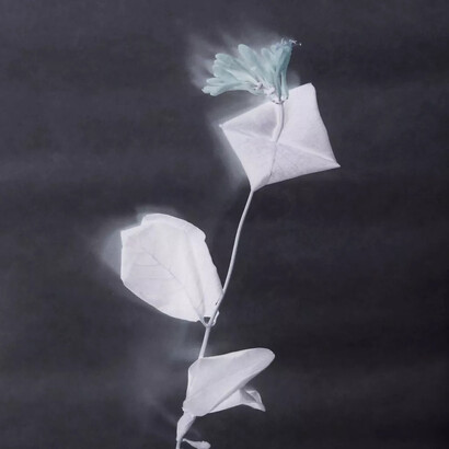 Nancy Jo Haselbacher, Land traces: Frost series, Finland no. 7, 2024. Courtesy of Childs Gallery