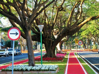 Avenida Cerro Azul, em Maringá. Viver em Maringá durante a pandemia foi, de certo modo, um aprendizado. Aprendi que o silêncio também pode ser bonito, que o tempo desacelerado nos ensina a observar e que há cidades que nos abraçam mesmo sem nos conhecer
