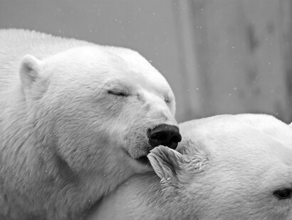 The sacred office of the environmentalist church of the United Nations continually reminds us that we have very little time to save the planet by restricting global temperature increase