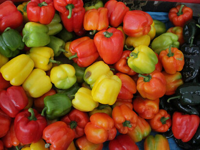 En la distribuidora de productos agrícolas vi algunos de los ejemplos más bellos de comunidad integral y la comercialización: dejar escrito en todos los libros la importancia de la producción