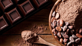 Quetzalcóatl robó el árbol del cacao del paraíso donde vivían los dioses y plantó el pequeño arbusto en Tula