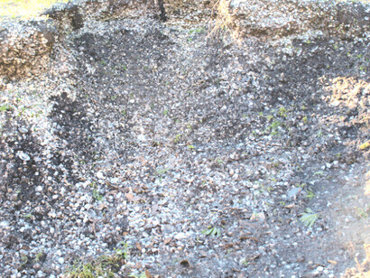 Além de restos alimentares, as conchas eram utilizadas em rituais, mostrando aspectos culturais dos sambaquieiros