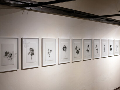 Armida Gandini, Il volo delle falene sull’onda, veduta dell’esposizione. Cortesia di Fondazione L’Arsenale