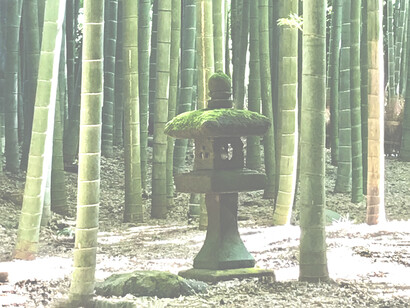 Houkokuji Temple © Alma Reyes