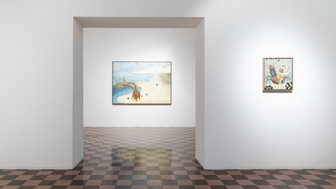 Rayana Rayo, Yo soy semilla, exhibition view. Courtesy of Travesía Cuatro 