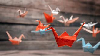 Le recordaron la leyenda japonesa de que si hacía mil grullas de origami (papiroflexia) y pedía un deseo, este se cumpliría