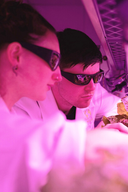 Cientistas usam tecnologia em óculos para analisar uma mini fazenda criada em laboratório