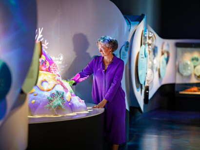 Wild life, exhibition view. Courtesy of Western Australian Museum