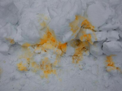 Peter’s photograph from the series “Function Follows Form”