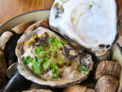 Cozinha dinamarquesa, Noma em Copenhagen