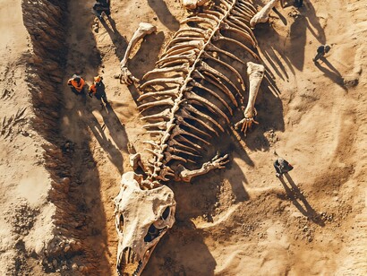 Trabalho arqueológico. Em 2018, a Lourinhã deu mais um passo na consolidação do seu estatuto de “capital dos dinossauros” ao abrir ao público o Dino Parque da Lourinhã