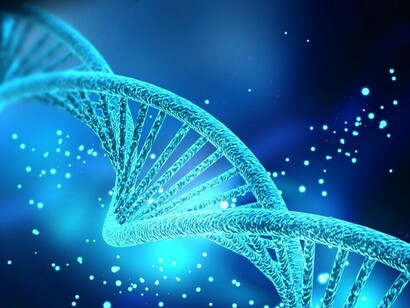 DNA