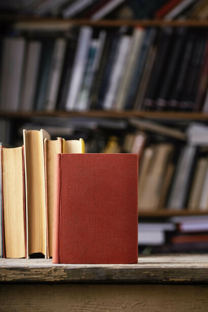 La adopción del LC en documentos administrativos ayuda a disminuir errores en trámites, fomenta la transparencia y permite una mejor fiscalización ciudadana