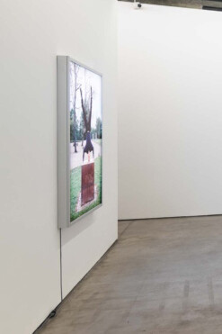 Jimmie Durham, Cildo Meireles, Pedro Cabrita Reis. Courtesy of Galeria Luisa Strina