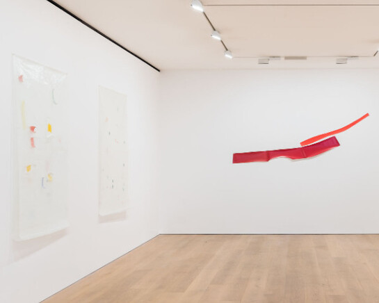Guy Mees, Exhibition view. Courtesy of David Zwirner 