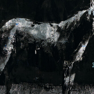 Gonzalo Borondo, Cavalo nero (dettaglio), 2026. Cortesia di 21Art Treviso