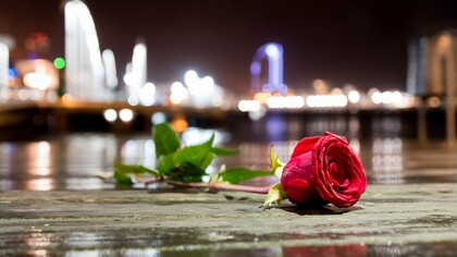 Una rosa en Barcelona