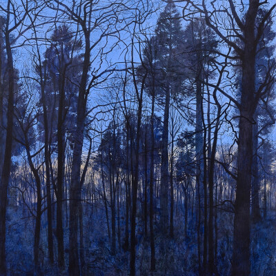 A Certain Light. Courtesy of The Scottish Gallery