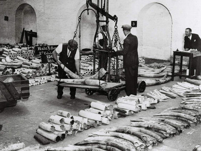 Warehouse of the World. Courtesy of Museum of London Docklands