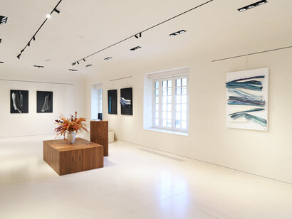 Dans les replis du temps, vue d'exposition. Avec l'aimable autorisation d'ICICLE