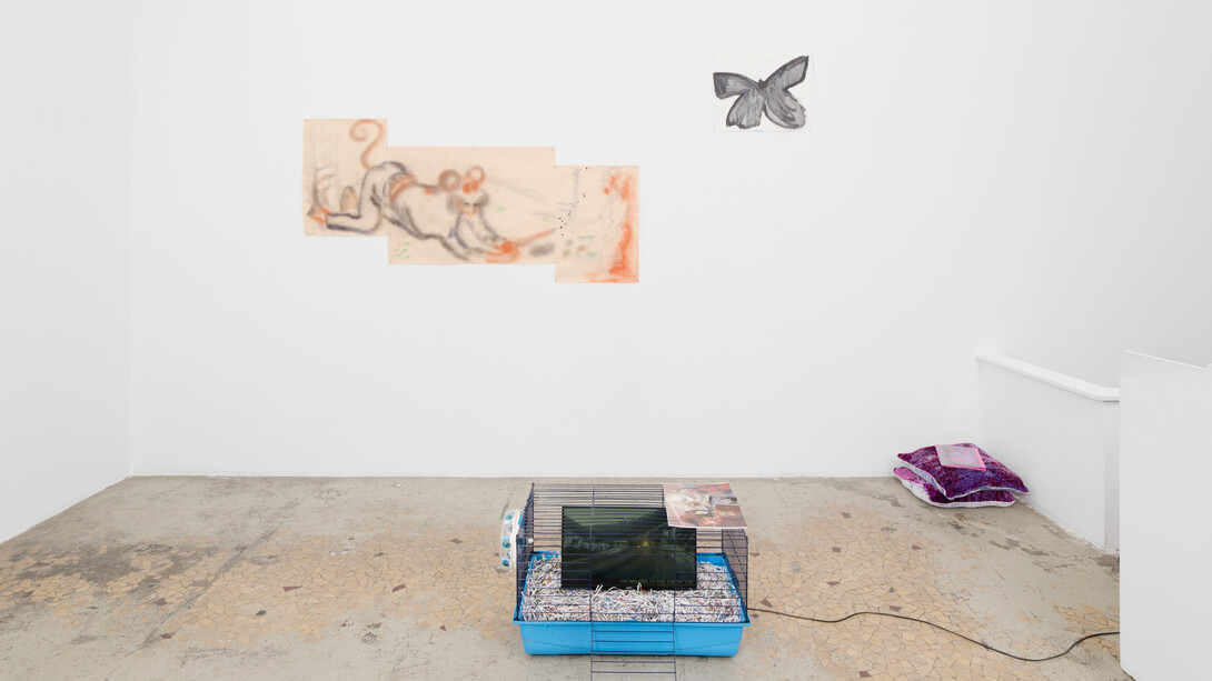 Various artists, Lick the toad, exhibition view. Courtesy of Galerie Anne Barrault
