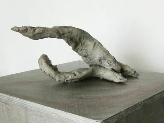 Directions 1, 2010-2013, Sculpture: 15 (h) x 33 x 15 cm, Sculpture: Silicon bronze, Base: wood