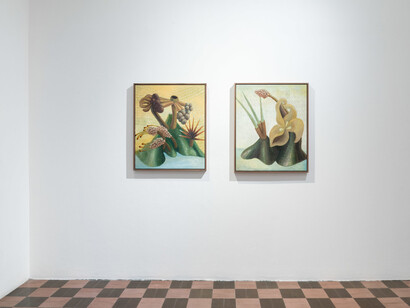 Rayana Rayo, Yo soy semilla, vista de exhibición. Cortesía de Travesía Cuatro