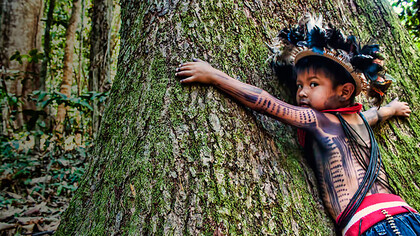 L'enfant et l'arbre. L'Amazonie est l’un des territoires les plus convoités de la planète © Kennedy Paiter Surui