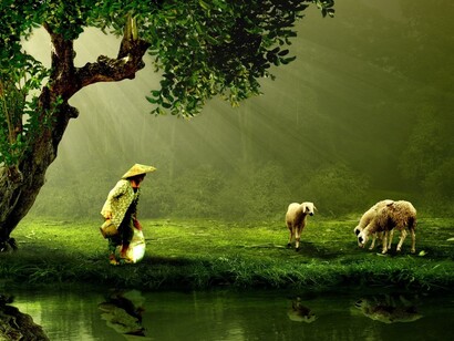The conscious feminine is the process of individuation of the woman
