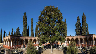 Cimitero agli Allori, il loggiato. Ph Alessandro Moggi