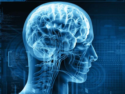 Biomedicine, um das filiais múltiplas da ciência