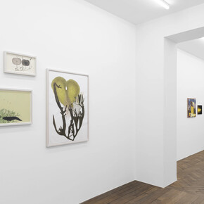 Melanie Smith, An age of liberty when the world had been possible, exhibition view. Courtesy of Galerie Peter Kilchmann
