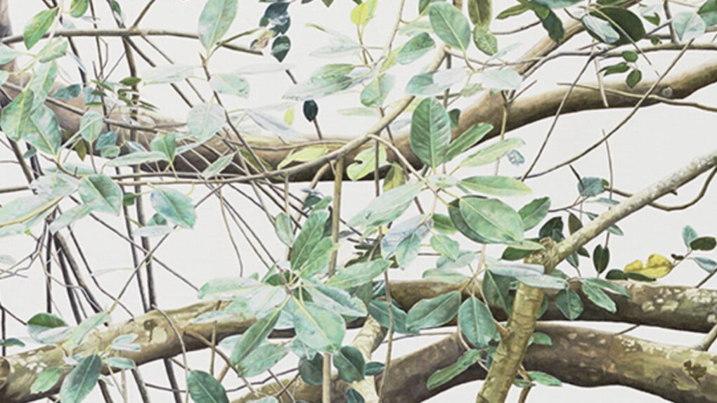Resonating Spaces. Courtesy of Fondation Beyeler