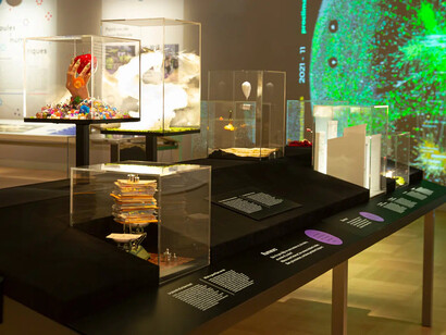 Foules, laboratoire humain, vue d'exposition. Avec l'aimable autorisation du Musée de la civilisation