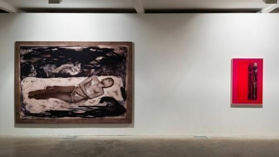 Markus Selg, La Vague d'Esprit, 2013, Vilma Gold, London, Installation View, Courtesy Vilma Gold, London. Photo: Lewis Ronald