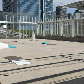 Iman Issa, Heritage studies, exhibition view. Courtesy of the Art Institute of Chicago