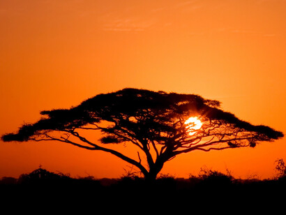 Amanecer en África