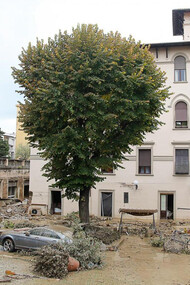 Il disastro provocato della recente alluvione di Livorno