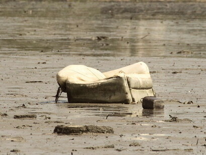O que justifica tamanha tragédia ambiental? 