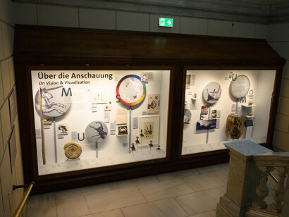 The natural order. Visualizing the structure of nature, exhibition view. Courtesy of Naturhistorisches Museum Wien
