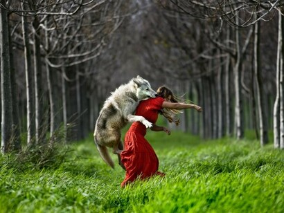 Os lobos e as mulheres são gregários por natureza, curiosos, dotados de grande resistência e força. profundamente intuitivos e com grande preocupação para com seus filhotes