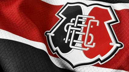 Reparem na dimensão de uma multidão! Mas não é uma multidão qualquer. A multidão abraça um conceito polissêmico, que está em constante transformação; traz a massa, a energia da massa, uma energia revigorante de contágio com o intuito de algo ou propósito comum — uma efervescência coletiva. O  conceito  de  multidão  é de uma multiplicidade singular,  um  universal concreto