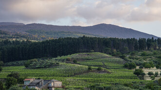 Guardiola, Alta Mora