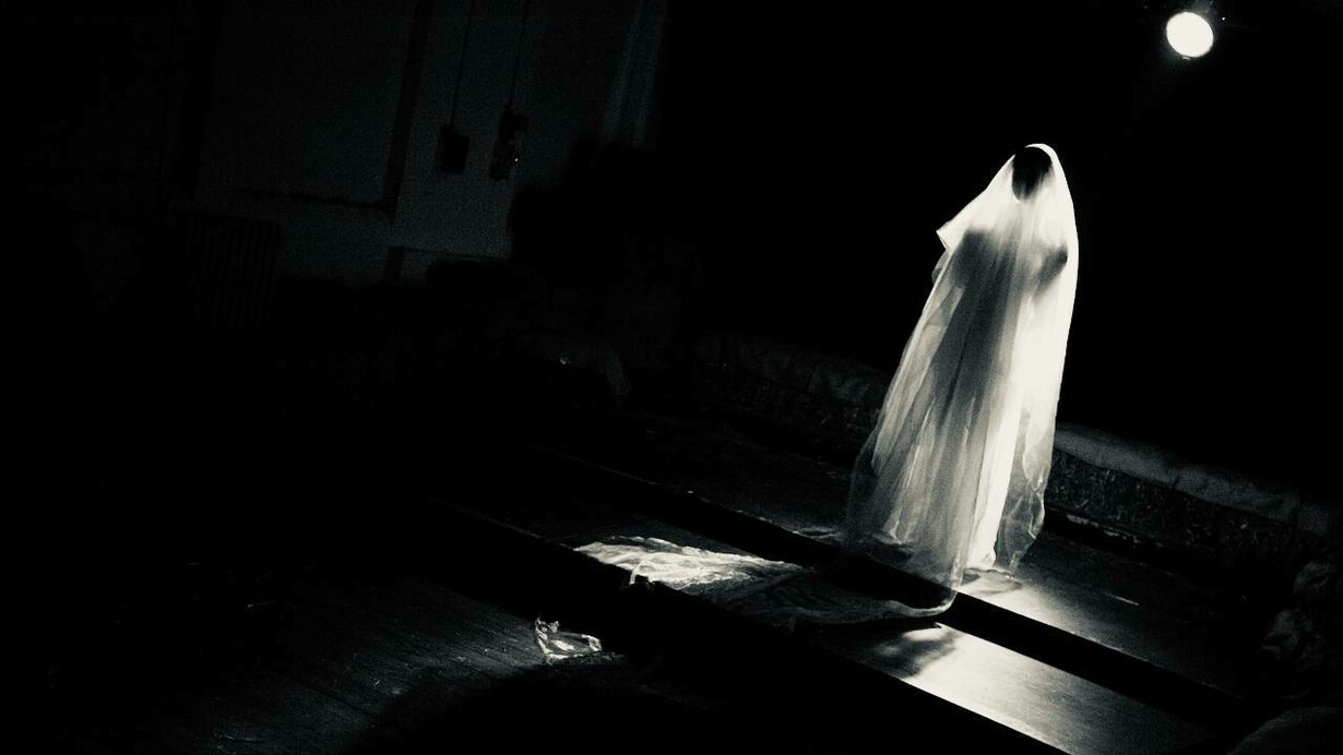 Dulcinea Dream Scene in the devised piece Rocinante! Rocinante! by Panta Rei Theatre directed by Chiara D’Anna. An example of visual language in devised theatre