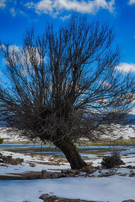 Ifrane. Afnourir Lake