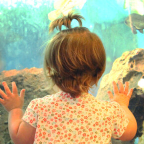 Bay Hall. Courtesy of Bay Area Discovery Museum 