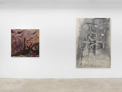 Cato Ouyang, Fernanda Galvão and Ren Light Pan, exhibition view. Courtesy of Lyles & King